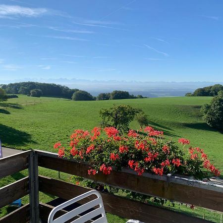 Hotel Restaurant Alpenblick Wolfisberg Zewnętrze zdjęcie